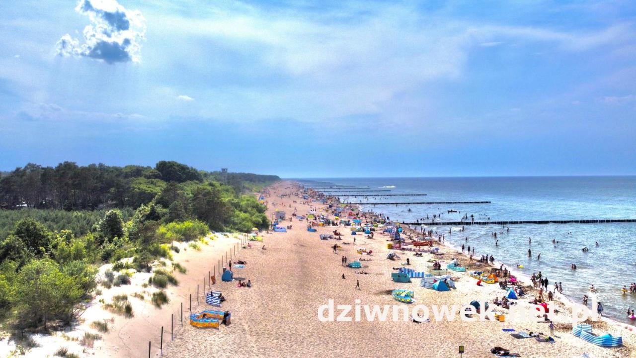 Apartmán Sofia Dziwnówek Exteriér fotografie
